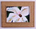 5x7" Framed, Sunday Best